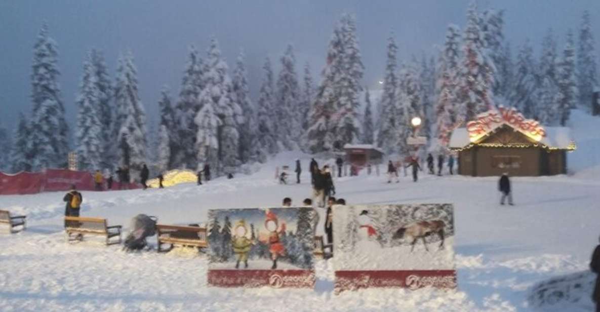 Vancouver Capilano Canyon Light&Peak of Christmas in Grouse - Key Points