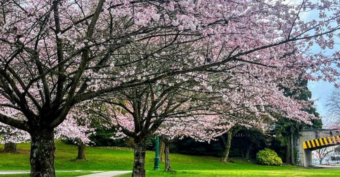 Vancouver City Tour With Cherry Blossom Festival Private - Tour Duration and Cancellation Policy