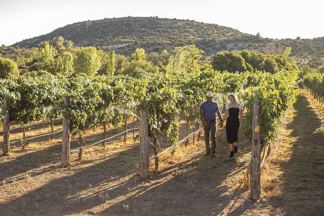 Verde Valley Wine Tour From Sedona in Luxury Vehicle - Inclusions and Amenities