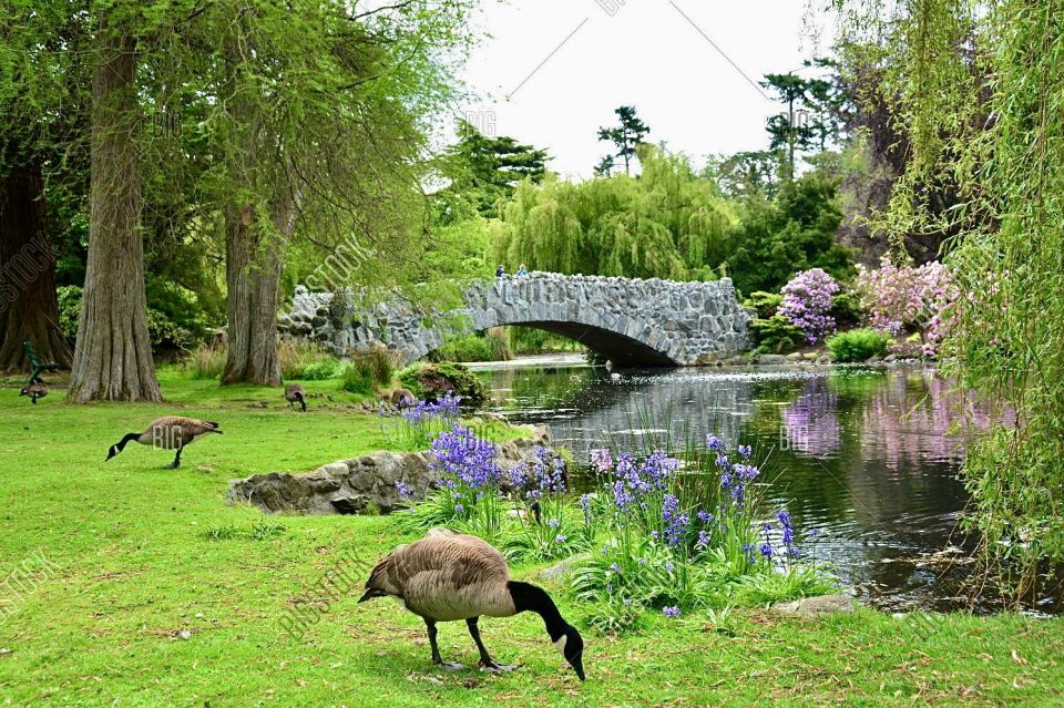 Victoria: 2-Hour History and Highlights Bike Tour - Key Points