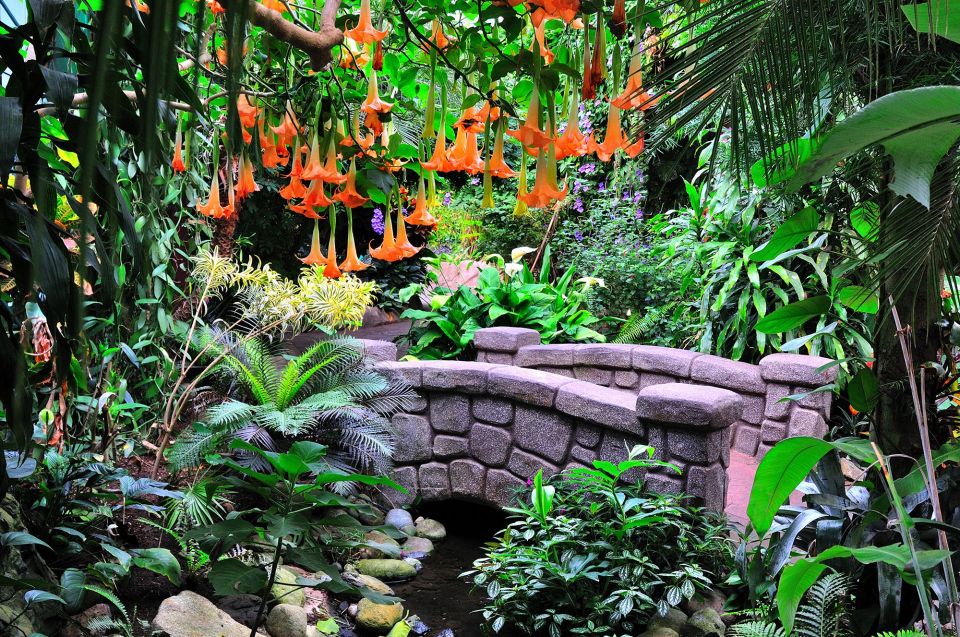 Victoria: Butterfly Gardens Admission Ticket - Key Points