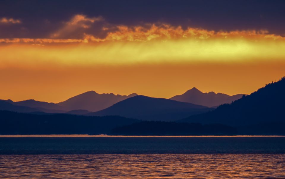 Victoria: Sunset Whale Watching Tour on Semi-Covered Boat - Booking Details