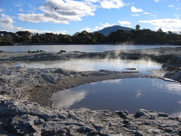 Volcanic Rotorua Day Trip From Auckland - Key Points