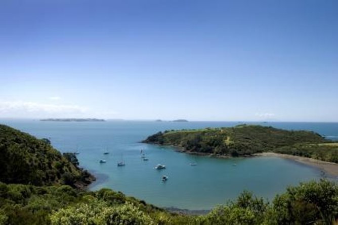 Waiheke Island - Fly and Dine (from Ardmore Airport) - Key Points
