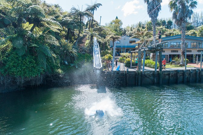 Waimarino Adventure Park - Key Points