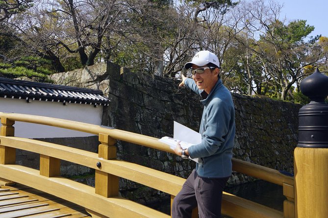 Wakayama Castle Town Walking Tour - Key Points