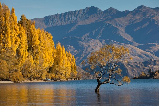 Wanaka 4x4 Explorer The Ultimate Lake and Mountain Adventure - Key Points