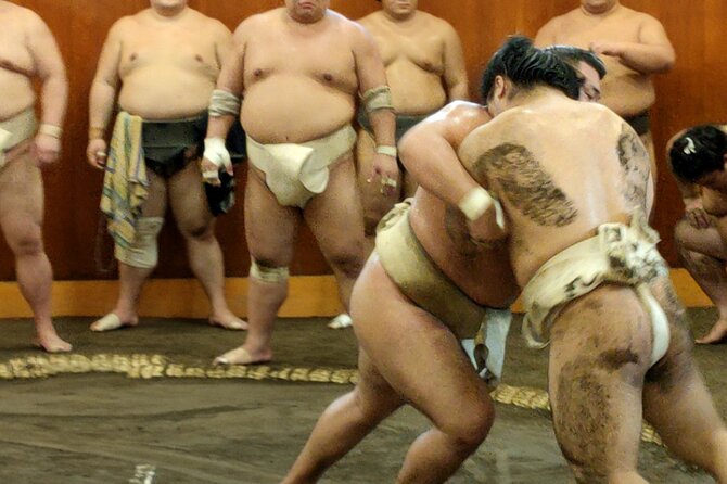 Watch Sumo Training in Sumo Stable - Key Points