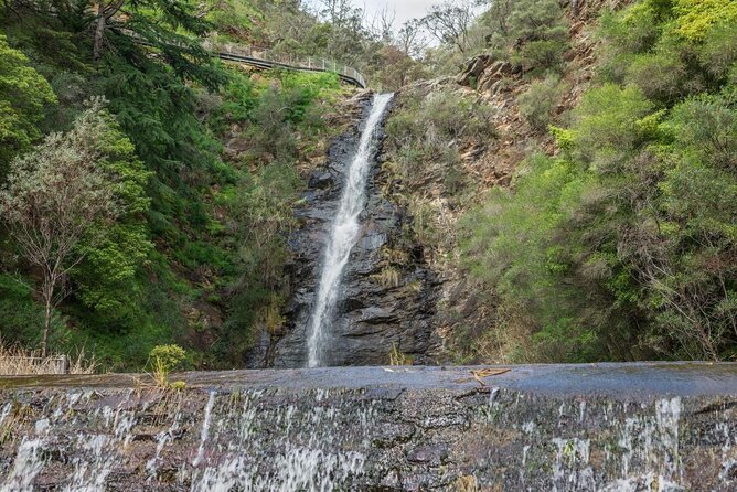 Waterfall Gully to Mt Lofty Guided Hike - Key Points