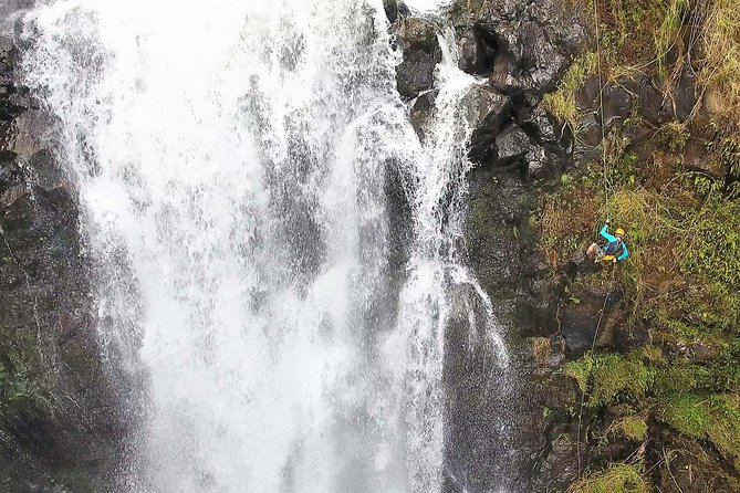 Waterfall Rappelling at Kulaniapia Falls: 120 Foot Drop, 15 Minutes From Hilo - Key Points