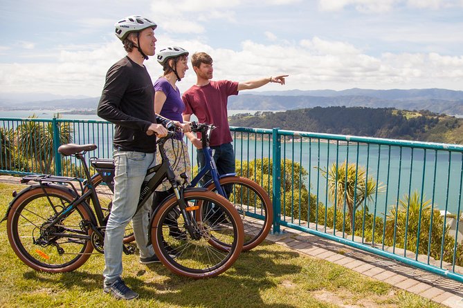 Wellington Electric Bike Tour - Key Points