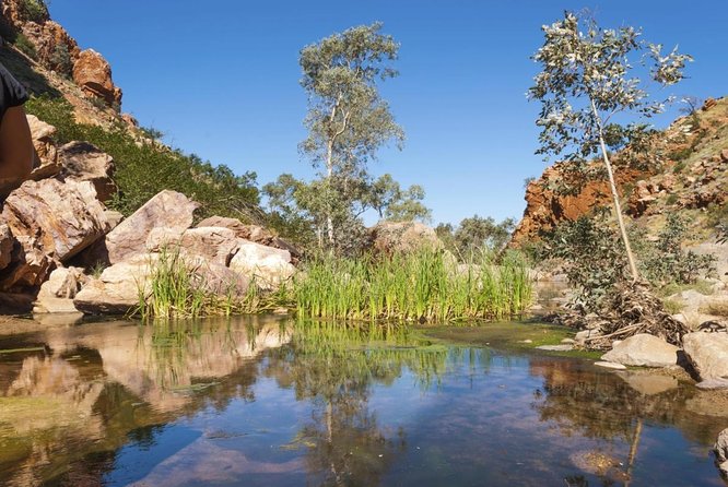 West MacDonnell Ranges Full-Day Private Charter Guided Tour - Key Points