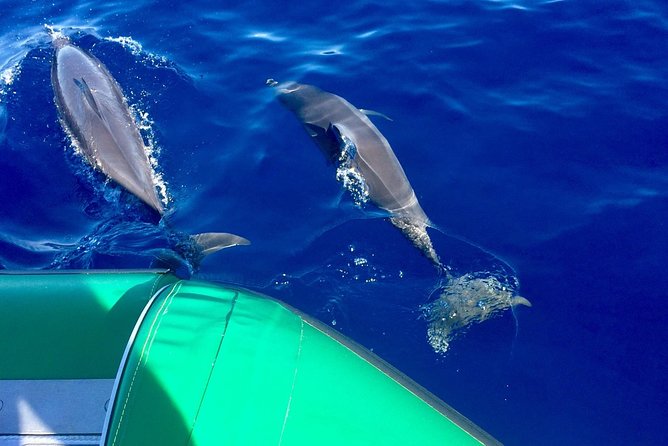 West Maui Snorkeling Experience by Boat From Kaanapali - Key Points