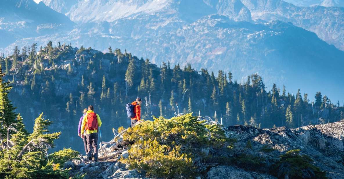 Whistler: Guided Wilderness Hike - Key Points