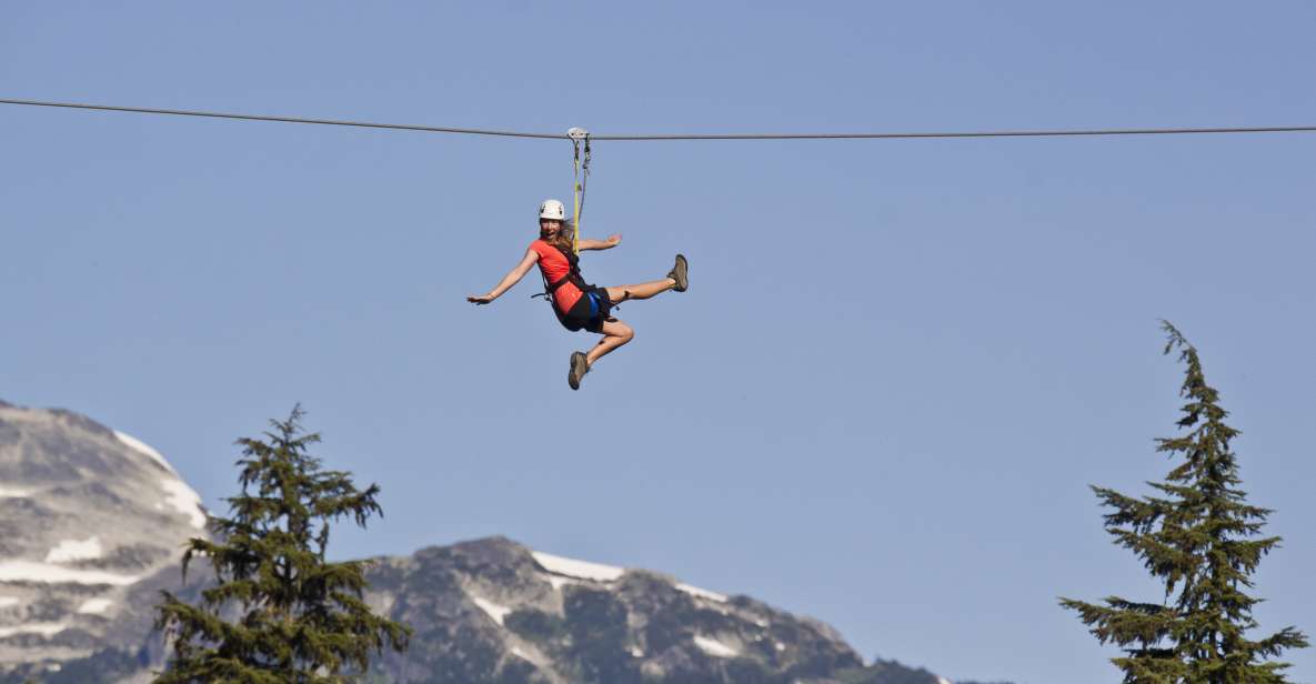 Whistler Zipline Experience: Ziptrek Eagle Tour - Key Points