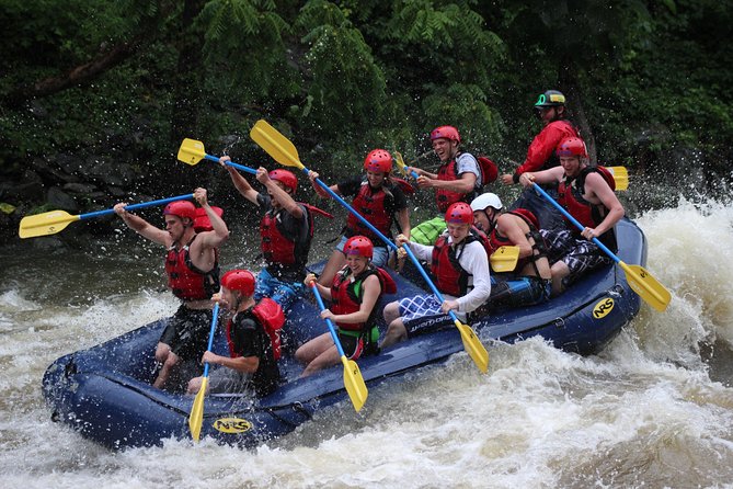 White Water Rafting Experience on the Upper Pigeon River - Key Points