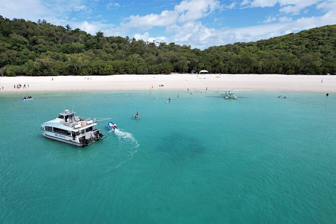 Whitehaven Beach Club Transfers From Airlie Beach - Key Points