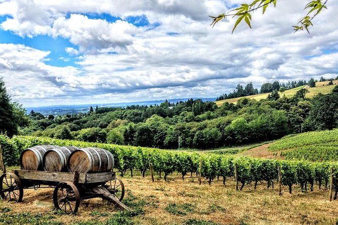 Willamette Valley Wine Tour - Full Day Tour - Tour Overview