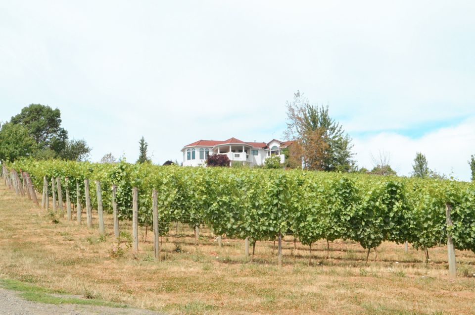 Willamette Valley Wine Tour (Tasting Fees Included) - Key Points