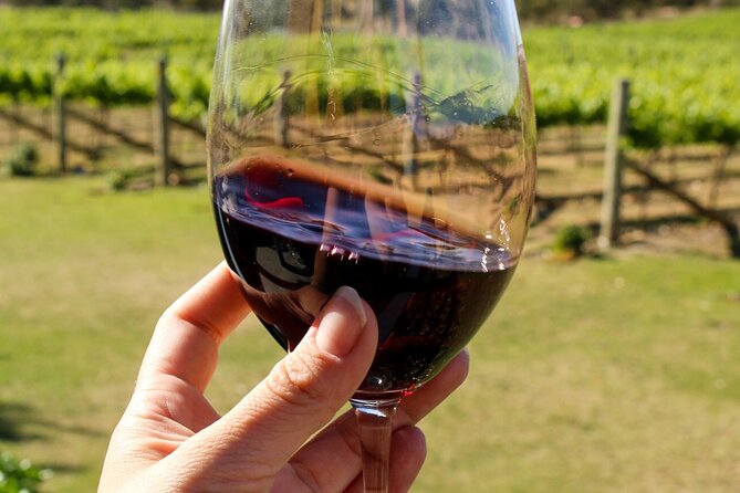 Wine Tasting in Canberra Region - Key Points