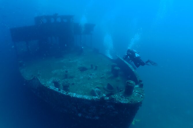 Wreck and Bridge Span Dive Charter for Certified Divers - Key Points