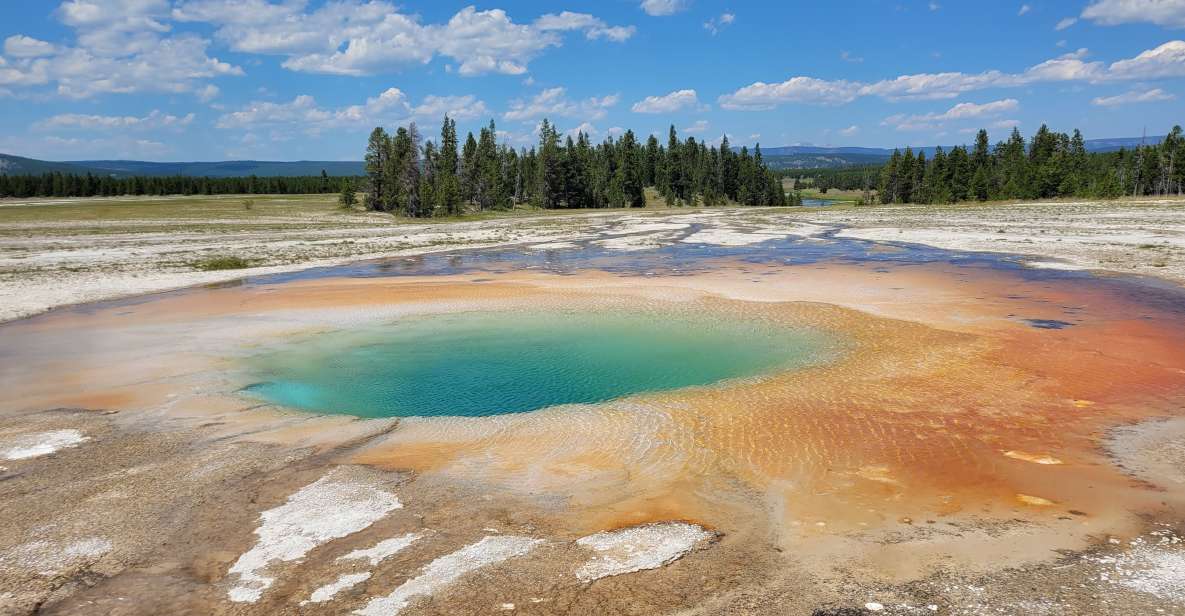 Yellowstone National Park Private Day Tour - Key Points