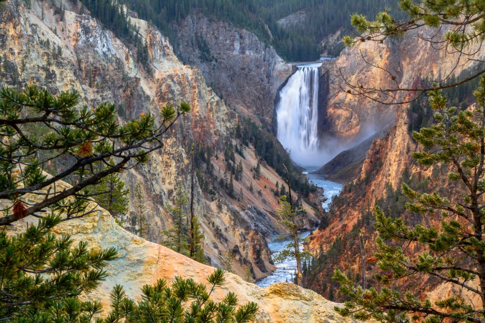 Yellowstone: Old Faithful, Waterfalls, and Wildlife Day Tour - Key Points