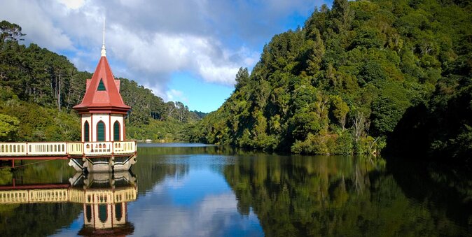 Zealandia Small Group Eco Wildlife Night Tour - Key Points