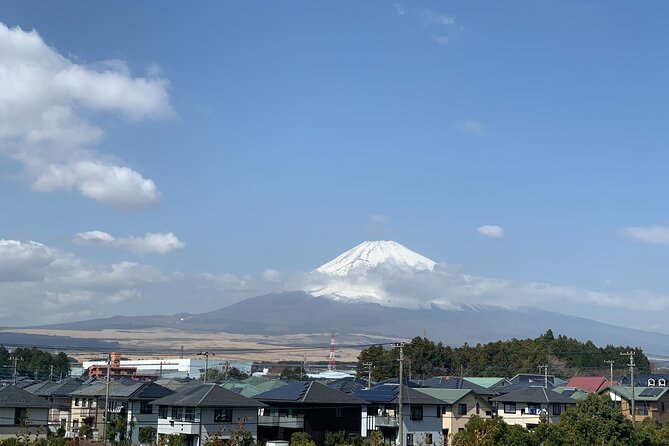 Zen Experience and Walking Tour to Gotemba Local Hidden Gems - Key Points