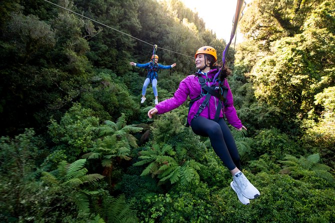 Ziplining Forest Experience - The Ultimate Canopy Tour Rotorua - Key Points