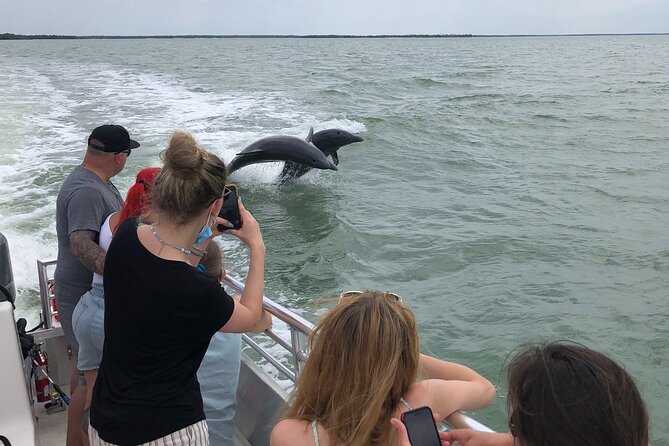 10,000 Islands Boat Excursion - 3.5-Hour Dolphins & Shelling Tour - Key Points