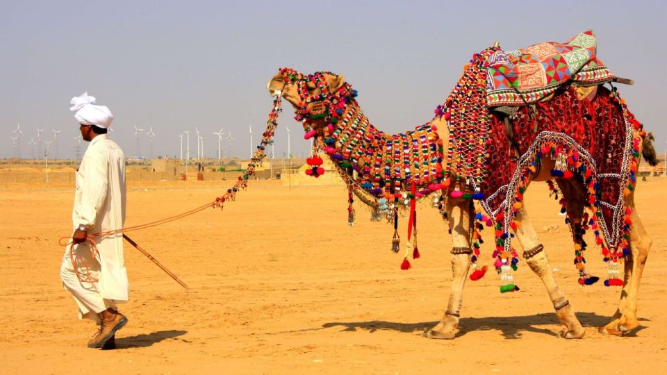 11 Days Tour Delhi, Rajasthan & Ranthambore Safari By Car - Key Points