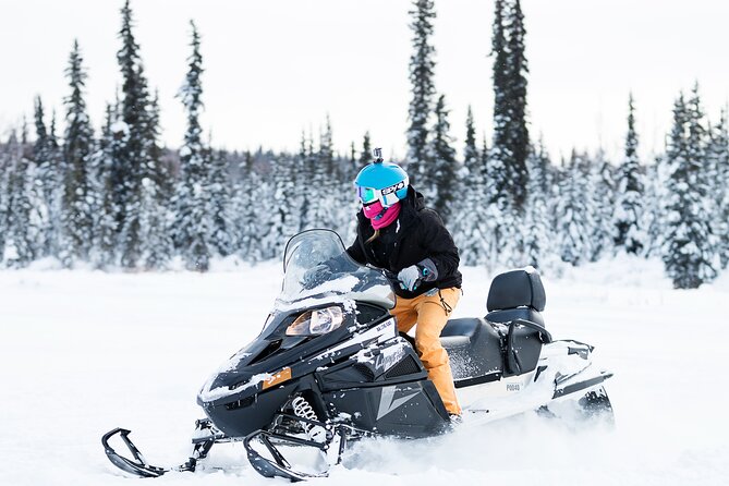 2-Hour Guided Snowmobile Tour in Fairbanks - Tour Details