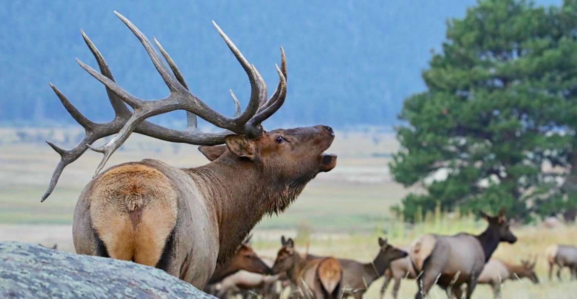 3/4 Day RMNP Mtn to Sky+Bear Lake Rd Tour-RMNPhotographer - Tour Location and Duration