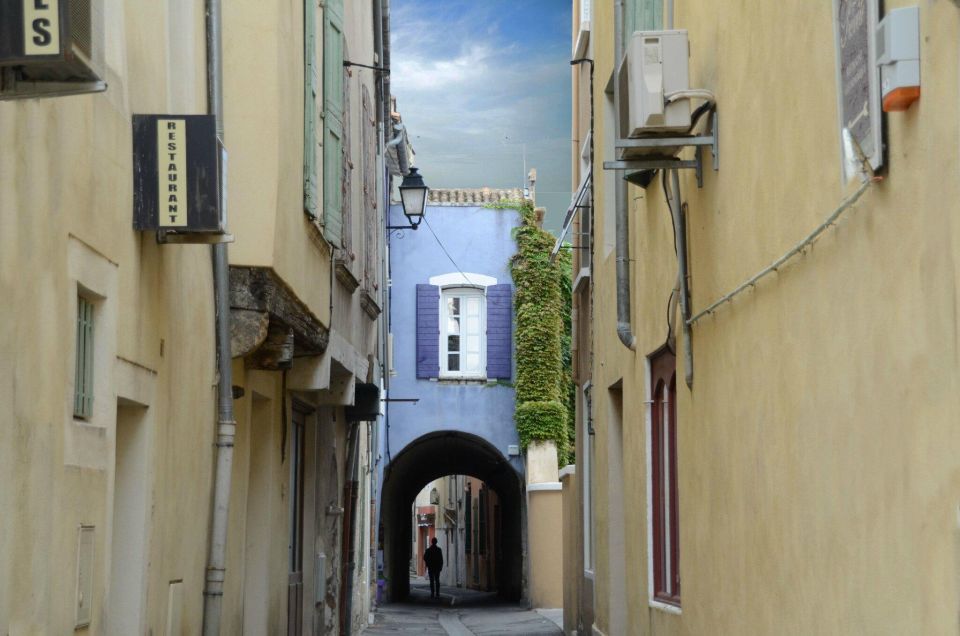 A Day in Provence: Les Baux De Provence, Saint Rémy and More - Tour Highlights