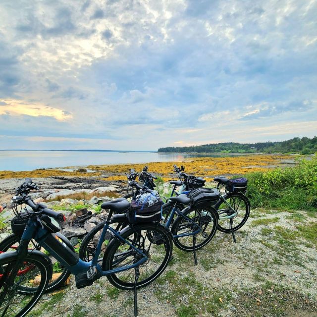 Acadia National Park Carriage Roads: Guided Ebike Tour - Experience Highlights