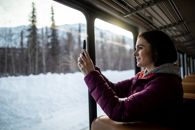 Alaska Railroad Aurora Winter Fairbanks to Anchorage One Way - Scenic Winter Journey Through Alaska