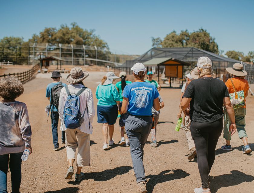 Alpine: Lions Tigers & Bears Sanctuary Visit and Feeding