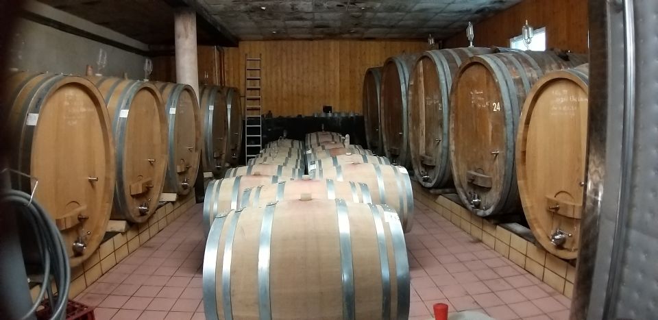 Alsace: Private Wine Tour - Customer Review