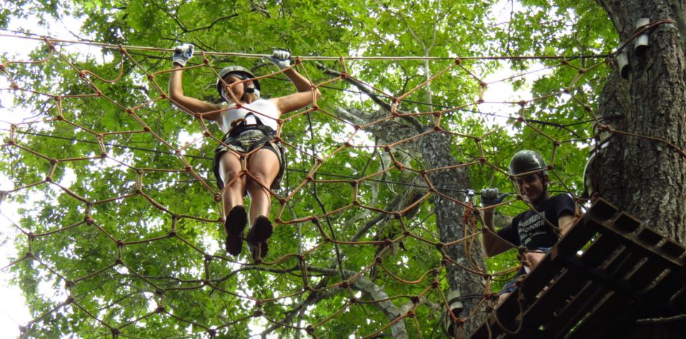 Amazon Jungle 3-Hour Tree Climbing Activity - Activity Overview