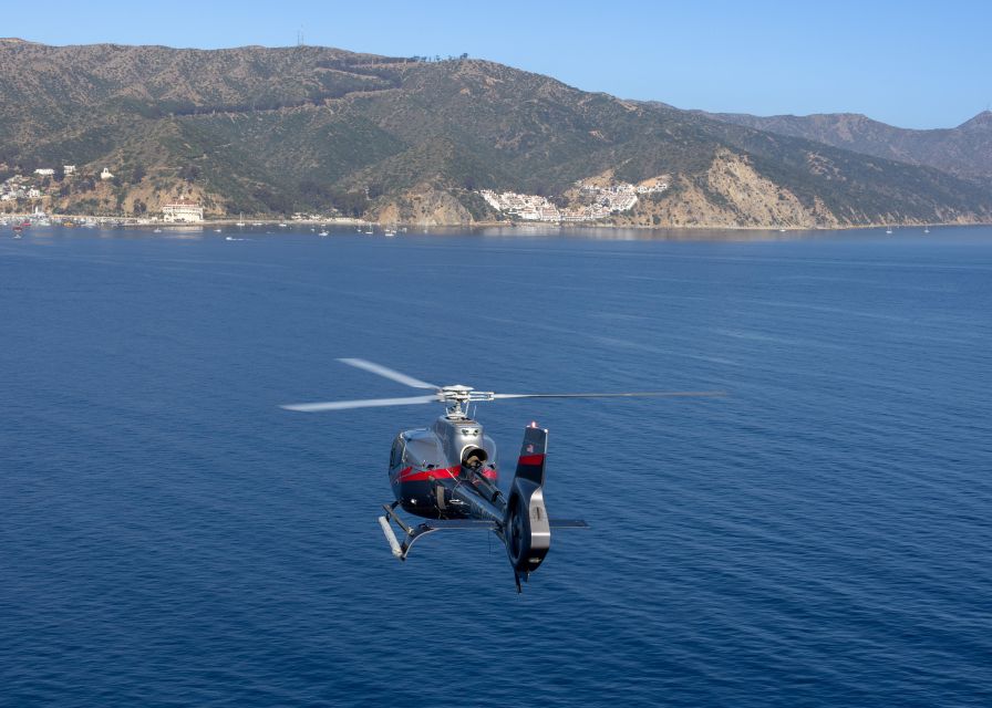 Avalon: Santa Catalina Island Aerial Helicopter Tour - Experience Highlights