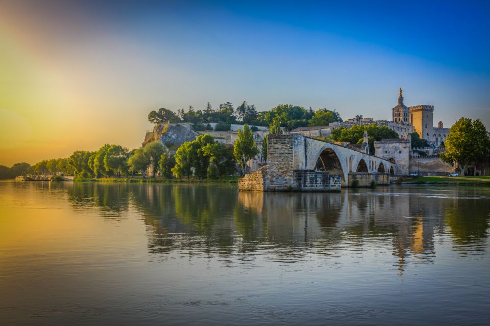 Avignon City of Popes & Wine Tasting Private Full Day Tour - Tour Highlights