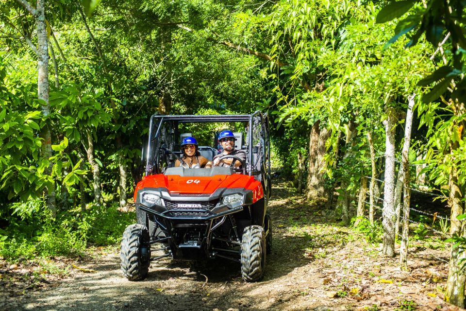 Bayahibe/La Romana: 4x4 Buggy and Monkeyland Tour - Highlights