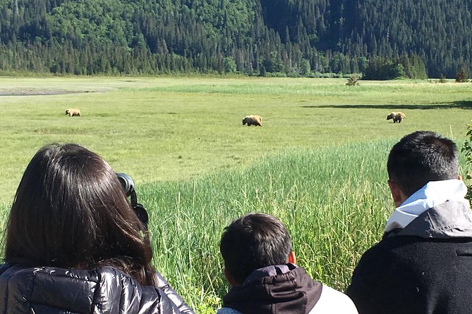 Bear Viewing Excursion and Airplane Adventure Tour - Tour Overview
