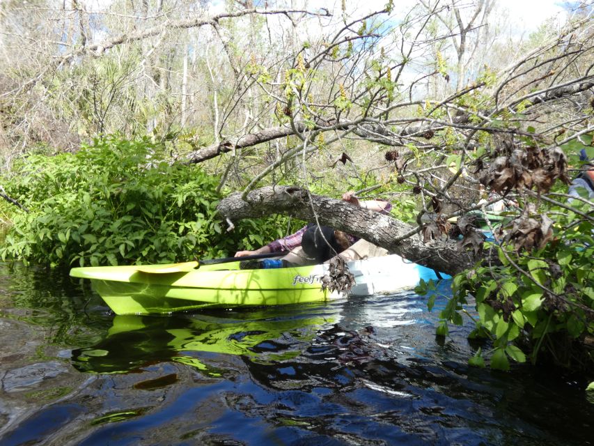 Blackwater Creek: Exclusive Nature Escape Kayak Adventure - Itinerary