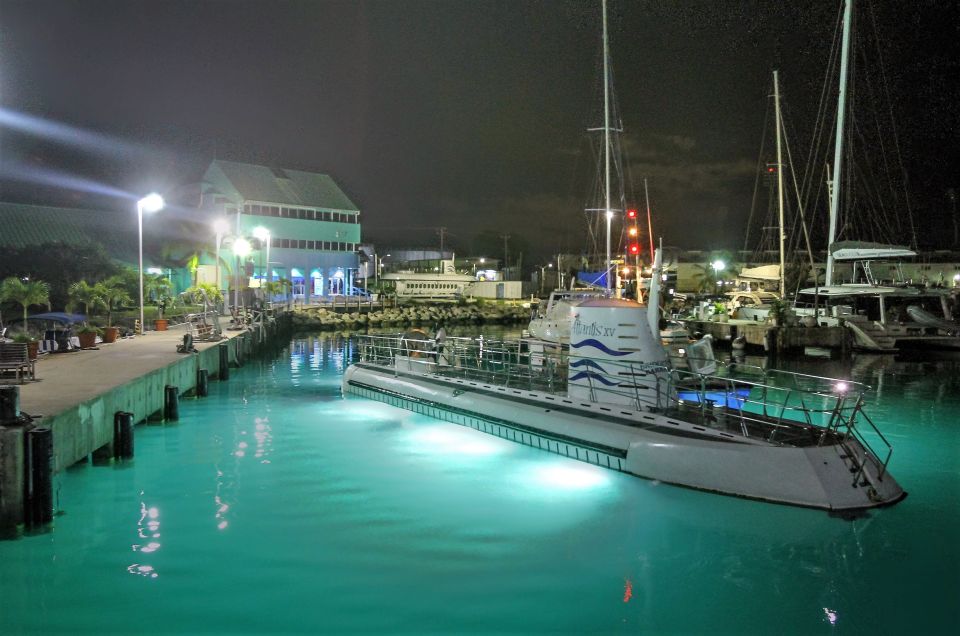 Bridgetown: Submarine Guided Night Tour - Tour Details