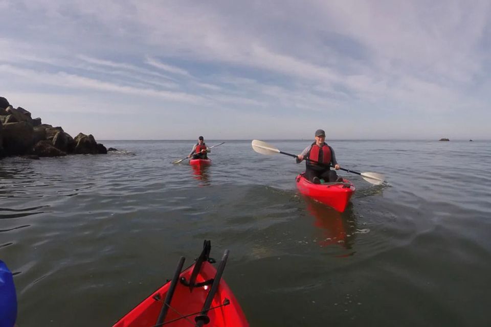 Brookings: Pacific Ocean Kayak Tour - Booking Information