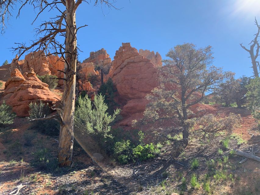 Bryce Canyon City: Red Canyon Horse Riding Day Trip W/ Lunch