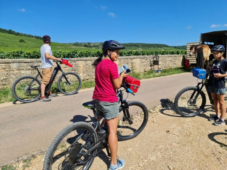 Burgundy: Fantastic 2-Day Cycling Tour With Wine Tasting