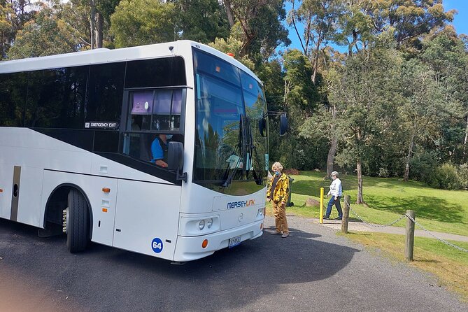 Burnie Attractions Bus: Burnie Shore Excursion - Tour Highlights